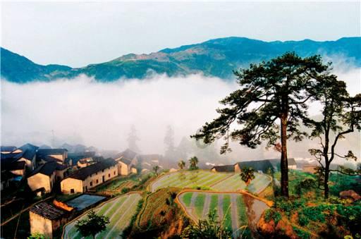 小红帽的冒险之旅